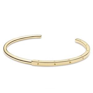 Pandora signature ID bracelet